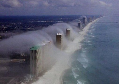 Елена Чернышева | Калининград