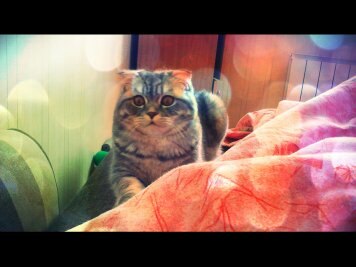 Кристина Москалёва-Селенкова | Минск