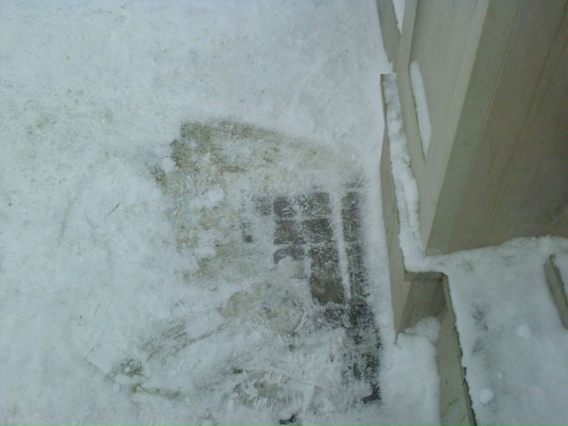 Сашко Басалик | Львов