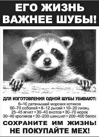 №157, Кеша Васильева №157, Кеша Васильева