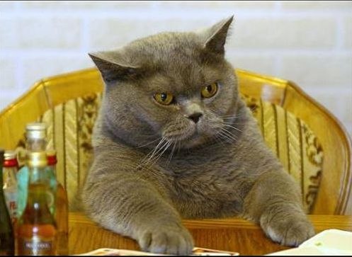 Юра Бабай | Харьков