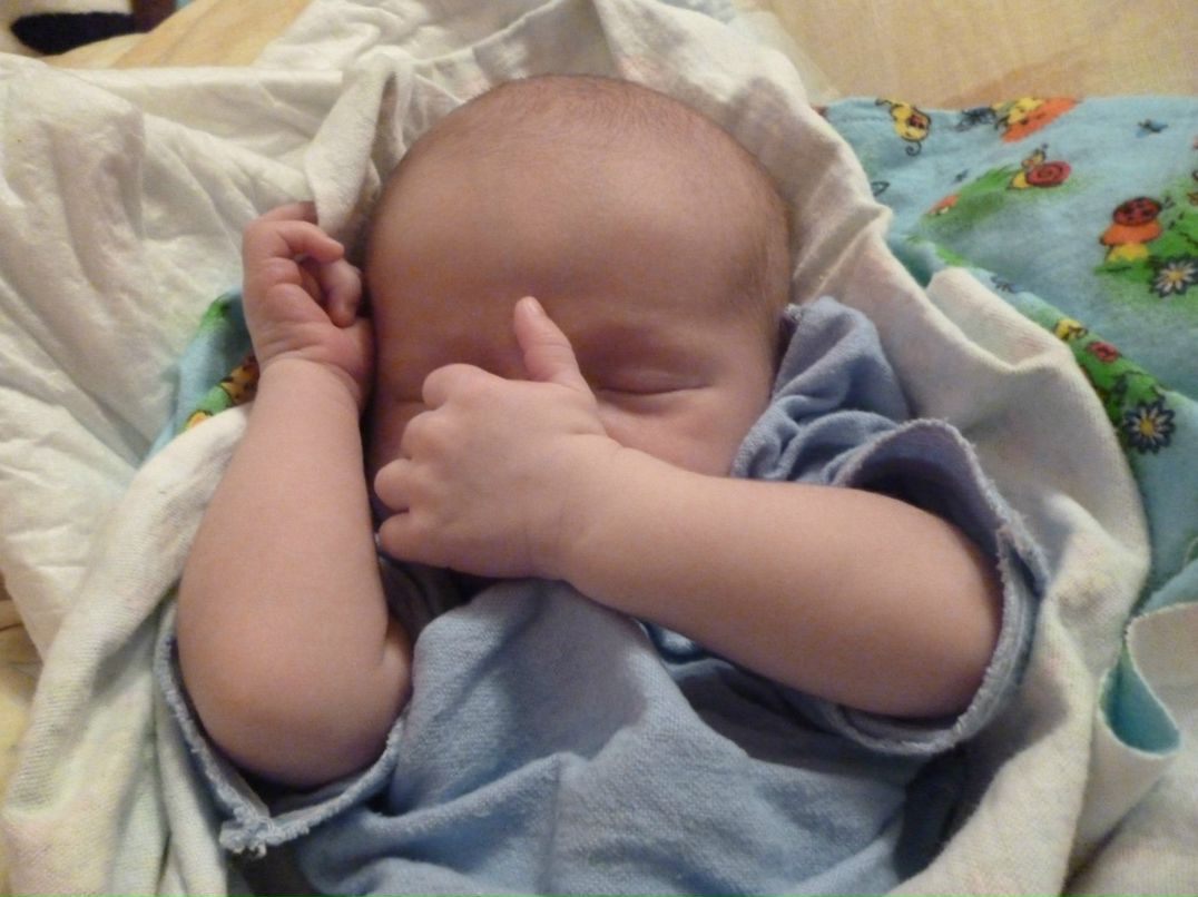 Наталья Ширяева | 