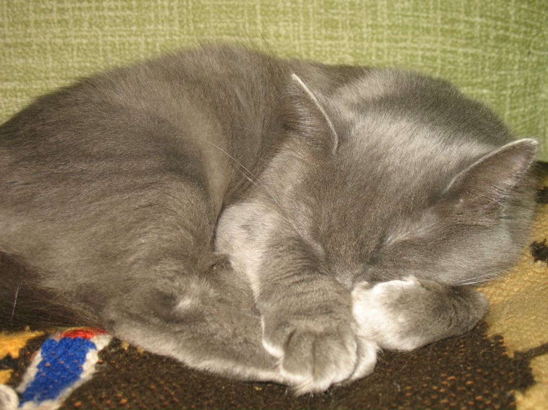 Елена Пикалова | Мариуполь