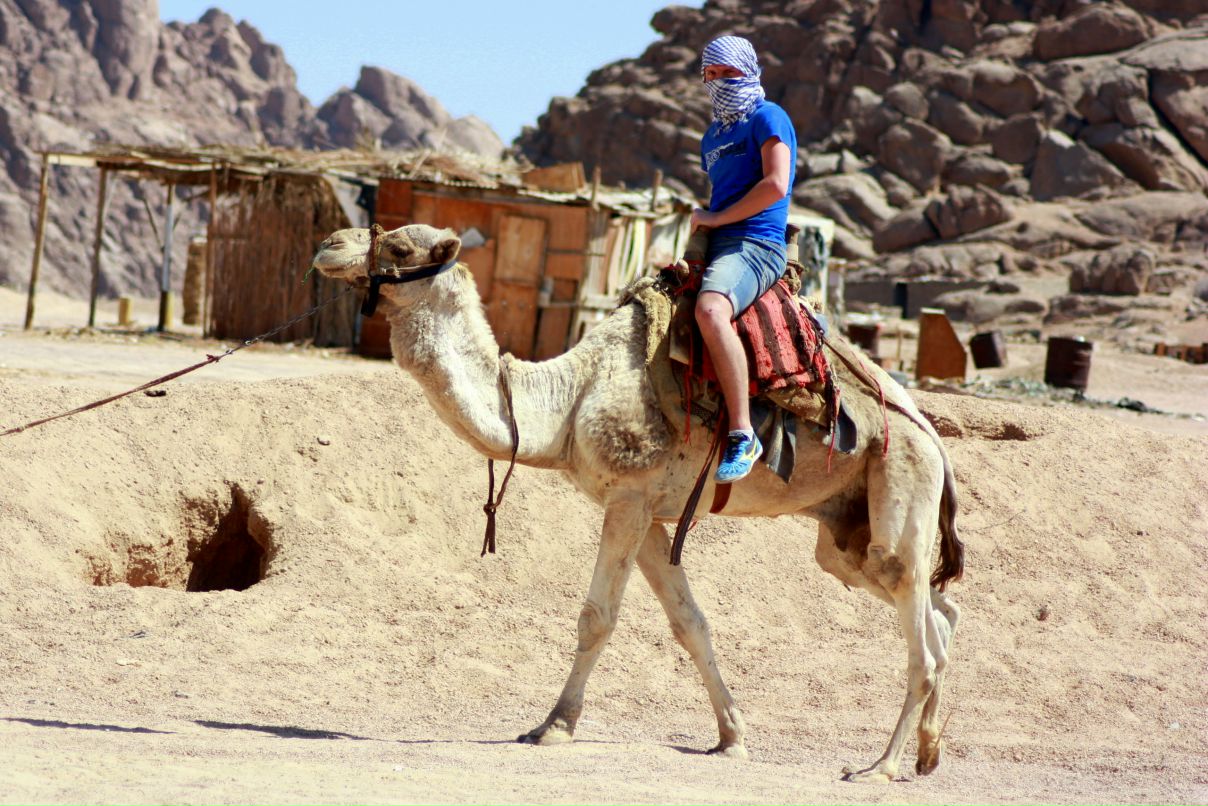 Антон Шелопаев | Подольск