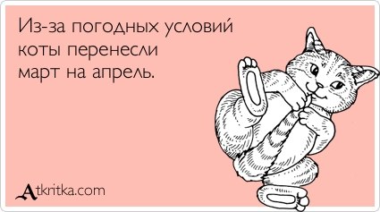 №195, Екатерина Васильева, Санкт-Петербург №195, Екатерина Васильева, Санкт-Петербург