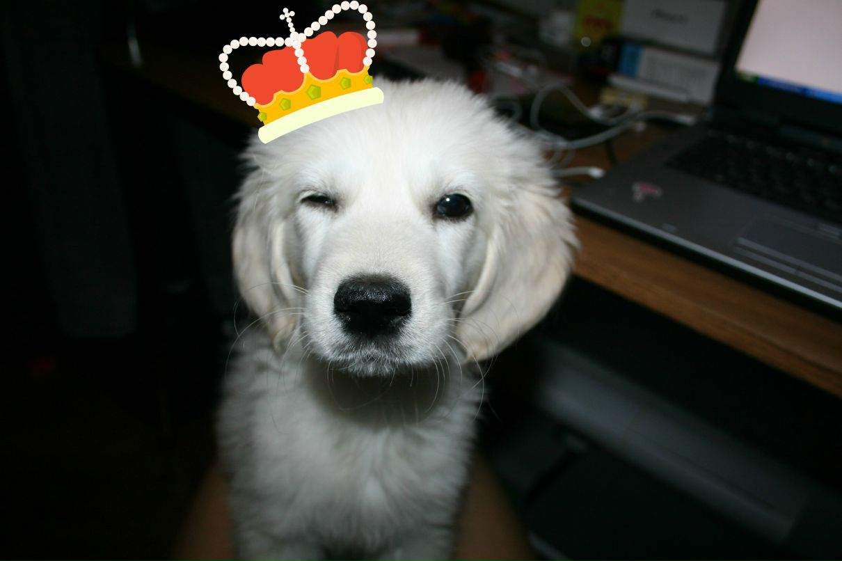 Оля Пронина | 