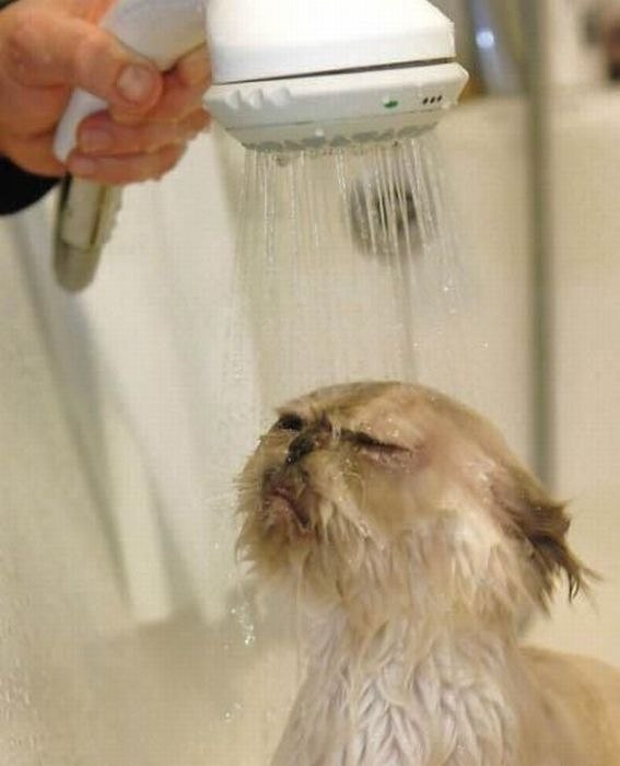 Margarita Akilinina | Москва