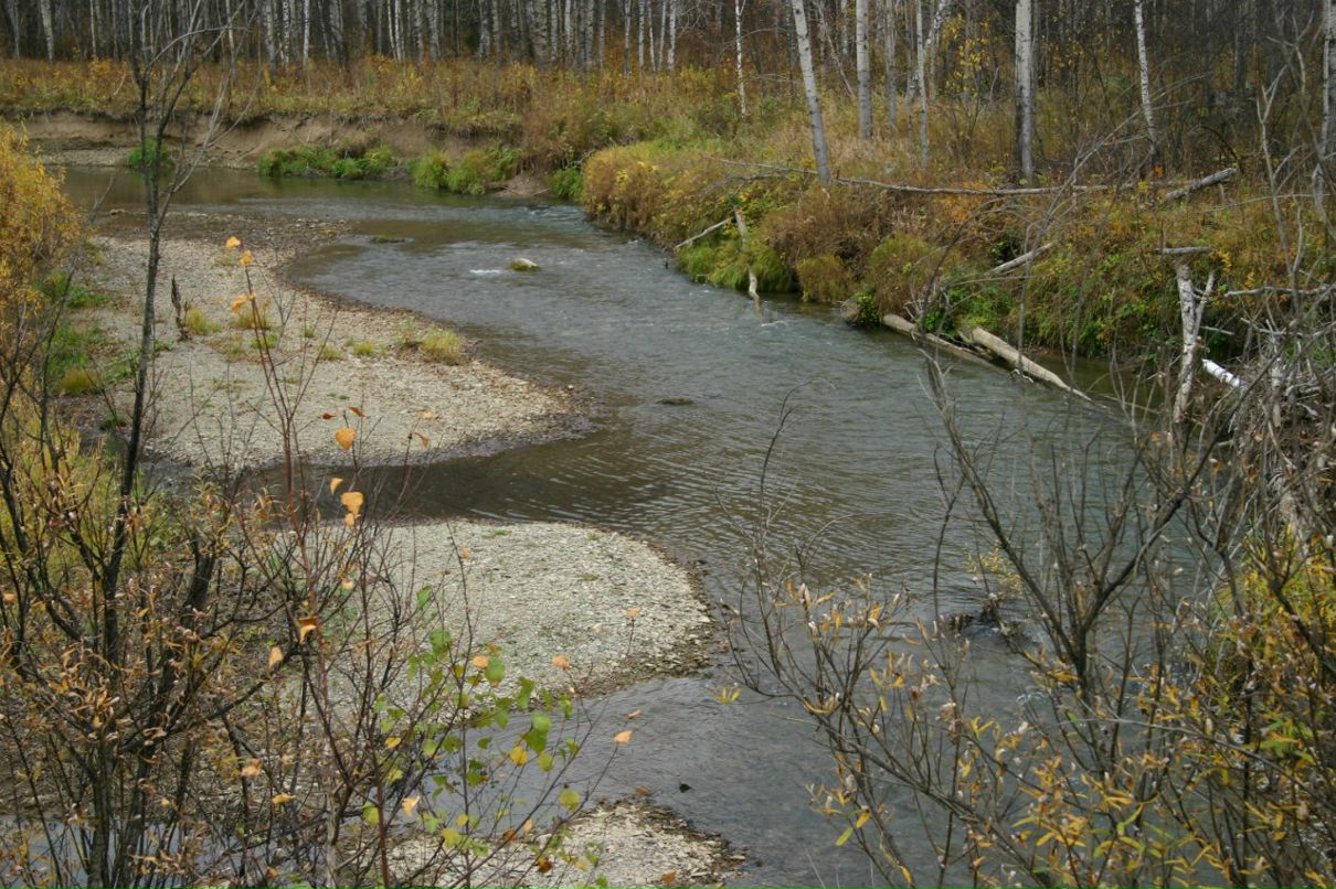 Константин Горобец | Новосибирск