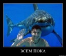 №36 Кирилл Гимора : профиль, фото, статус - ВКонтакте №36 Кирилл Гимора : профиль, фото, статус - ВКонтакте