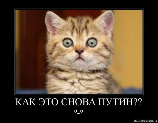 Андрей Александрович | Волгоград