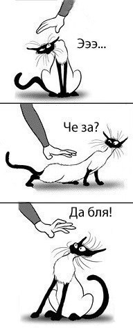 Ольчик Смурыгина-антонова | Москва