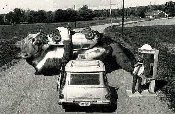 Ольга Labiskvi | Сочи