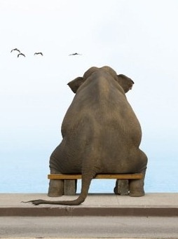 №30, Анастасия Бражник, Днепр (Днепропетровск) №30, Анастасия Бражник, Днепр (Днепропетровск)