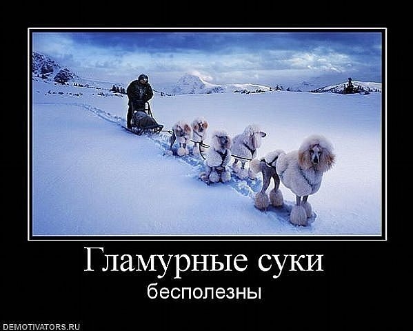 №8, Антон Лунев, 37 лет, Нефтегорск, Россия №8, Антон Лунев, 37 лет, Нефтегорск, Россия