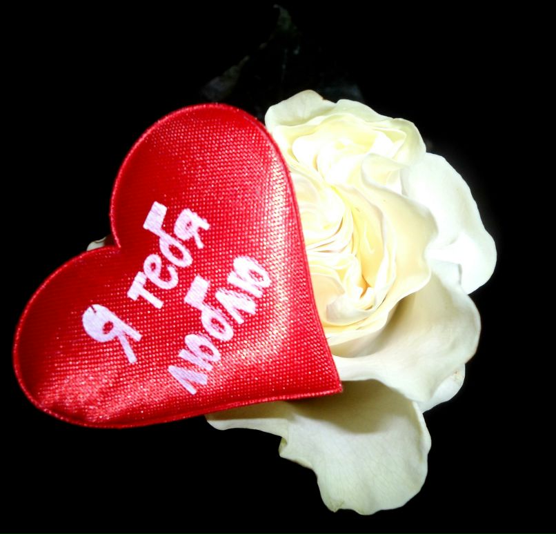 Алина Сквирская | 