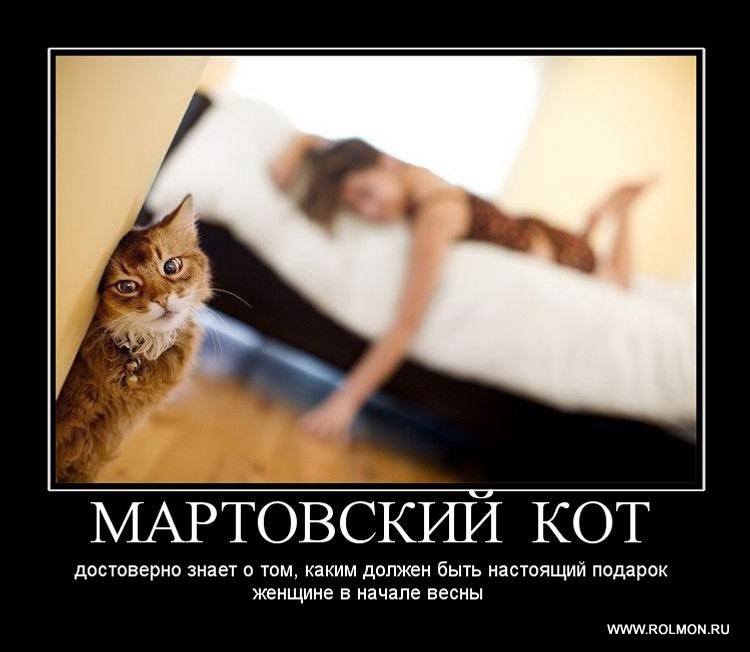 Серёга Коротин КОТ | Москва