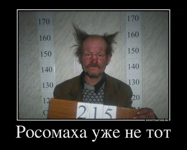 Рома Иванов | Красноярск