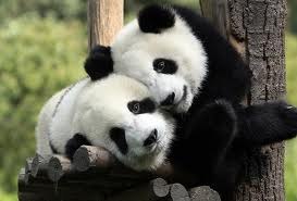 Мария Климович | Минск