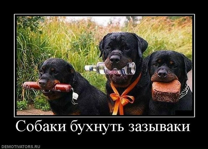 №169, Мария Егорова, 34 года, Ульяновск №169, Мария Егорова, 34 года, Ульяновск