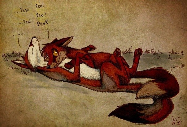 Just Panic | Тула