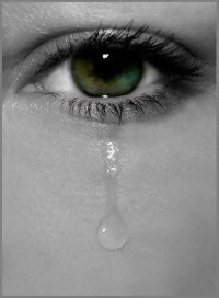 Елена Мамонова | Киев