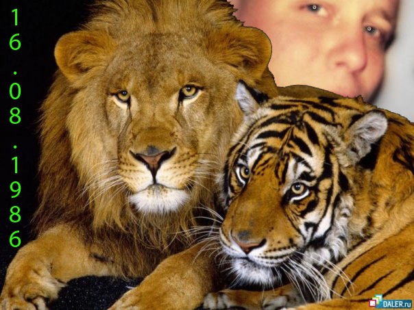 №90, Віталя Коваль, 39 лет, Червоноград №90, Віталя Коваль, 39 лет, Червоноград