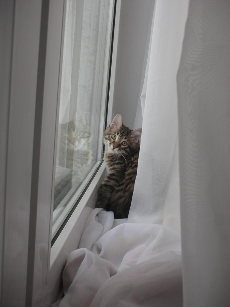 Алёна Омарова | Москва