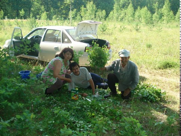 №183, Albert Ganiev, 31 год, Шаран №183, Albert Ganiev, 31 год, Шаран