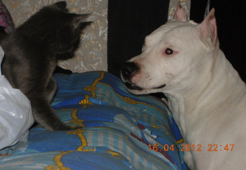 Екатерина Вересова Сергеевна | Красноярск