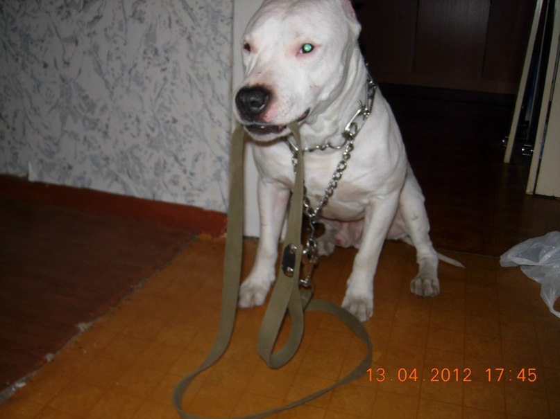 Екатерина Вересова Сергеевна | Красноярск