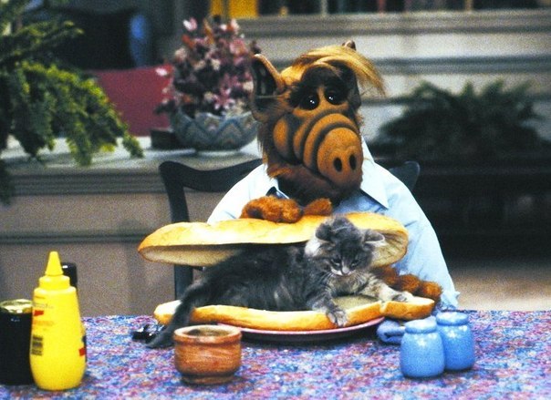 Андрей Егоров | Красноярск