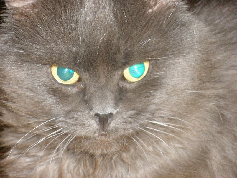 №40, Олександр Дригуля, 36 лет, Ровно №40, Олександр Дригуля, 36 лет, Ровно