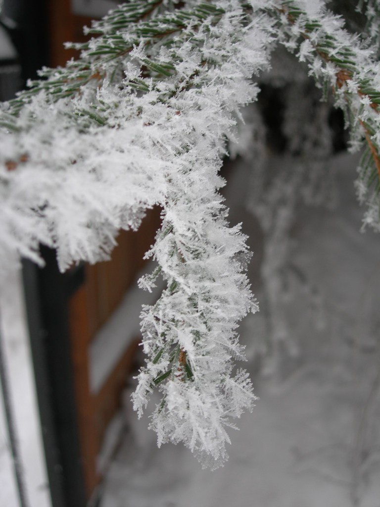 Виктор Родигин | Санкт-Петербург