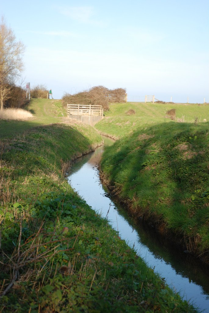 Ксю Солошко 