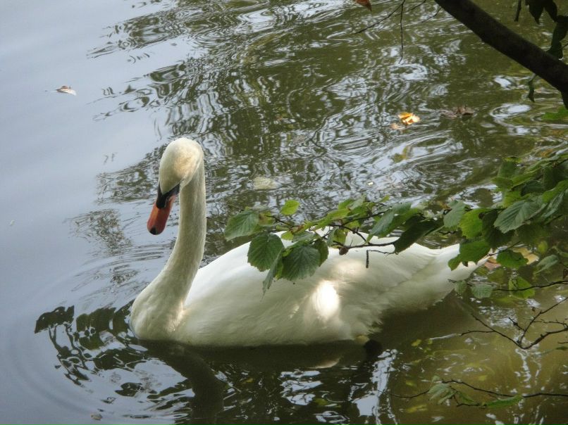 Марина Торгашова | Самара