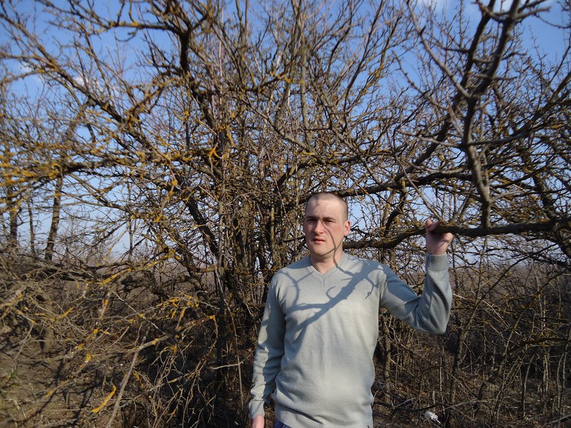 Андрей Челобанов | Вольск