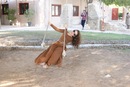Фотография Khabibullina Aida