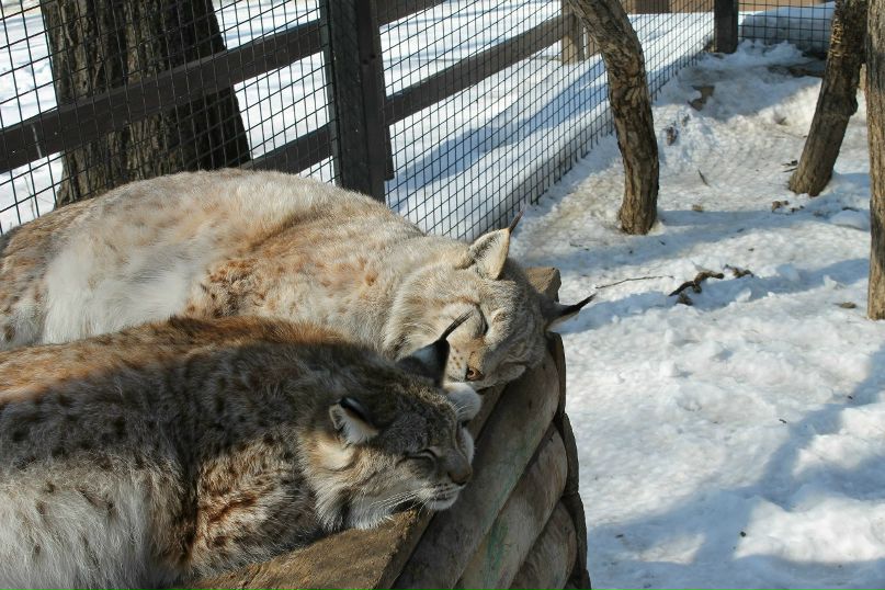 Аня Лочехина | Санкт-Петербург