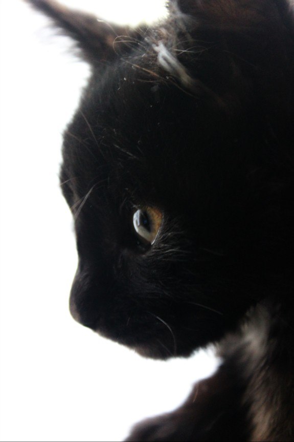 Оксана Романовна | Коломыя