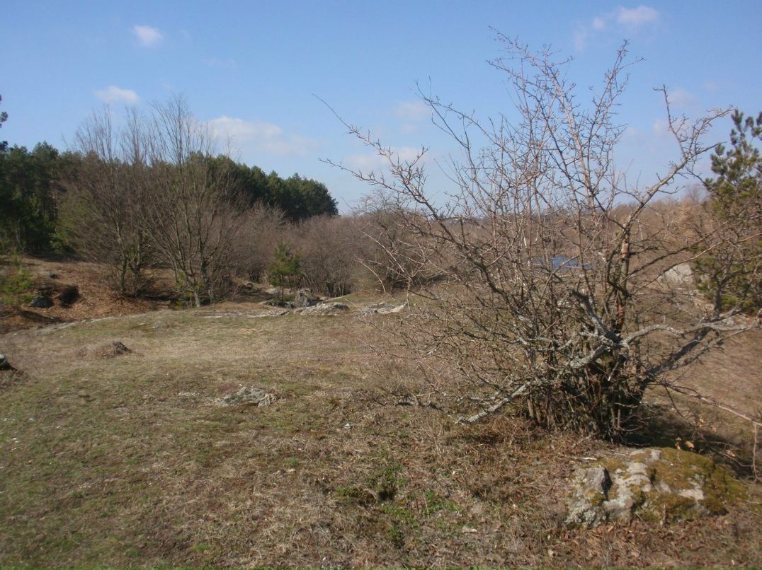 Борис Блаженний | Киев