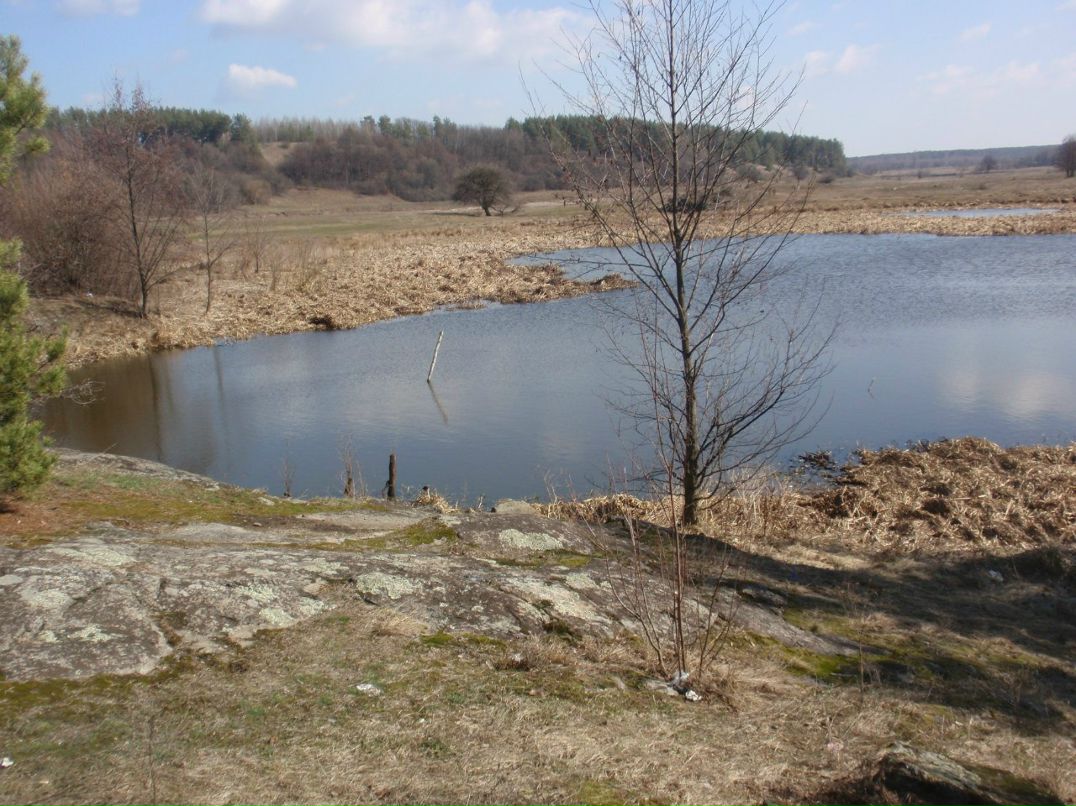 Борис Блаженний | Киев