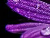 Марина Головачева (=СЧАСТЛИВАЯ=) | Петрозаводск