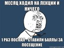 №21 Алина Левицкая