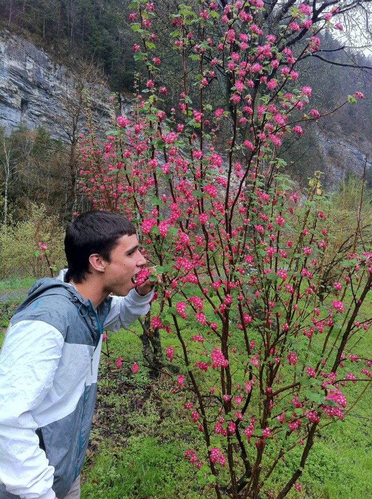 Елена Легкова | Новосибирск