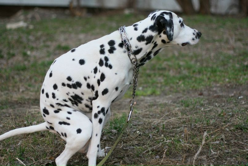 Славик Аджигитов | Москва