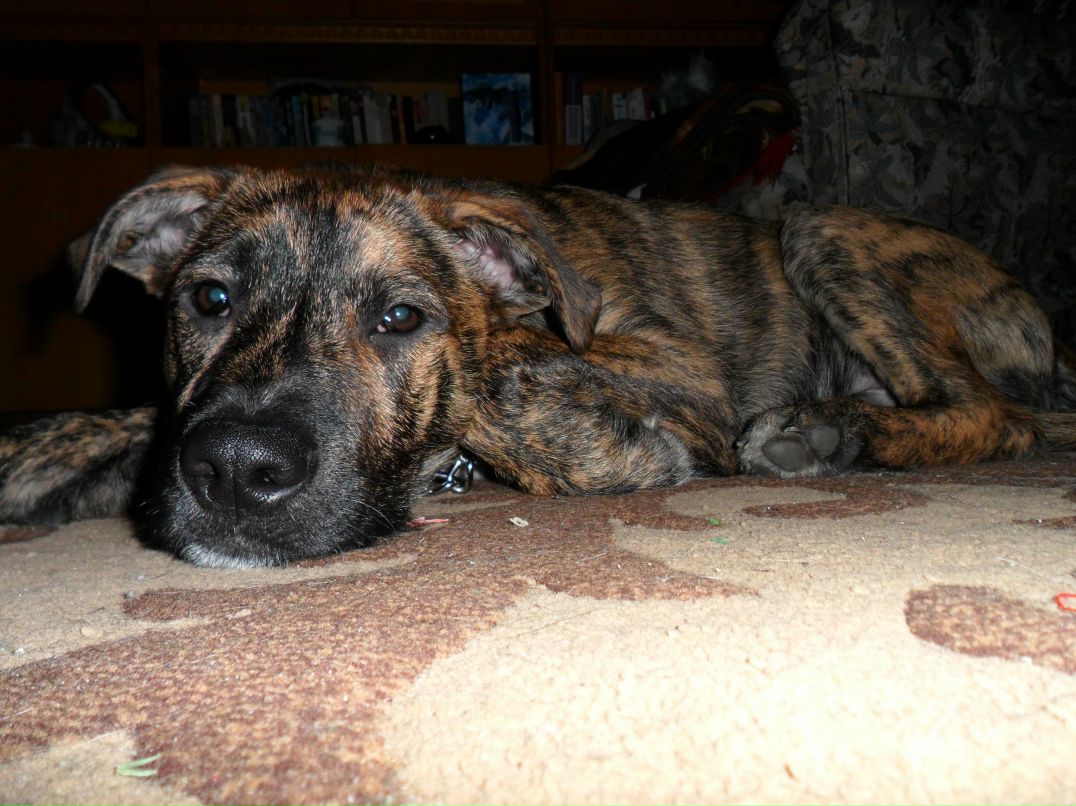 Александр Колодей 웃♥유 | Жлобин