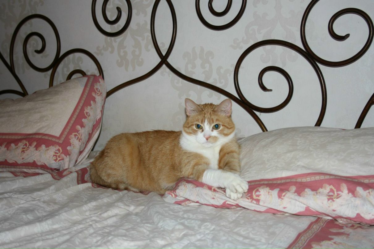 Татьяна Галинская | Санкт-Петербург