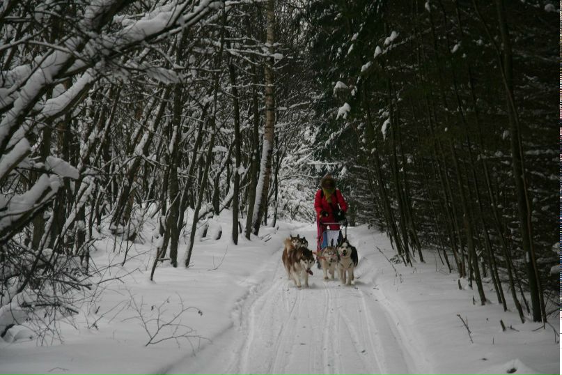 Екатерина Перина | Москва