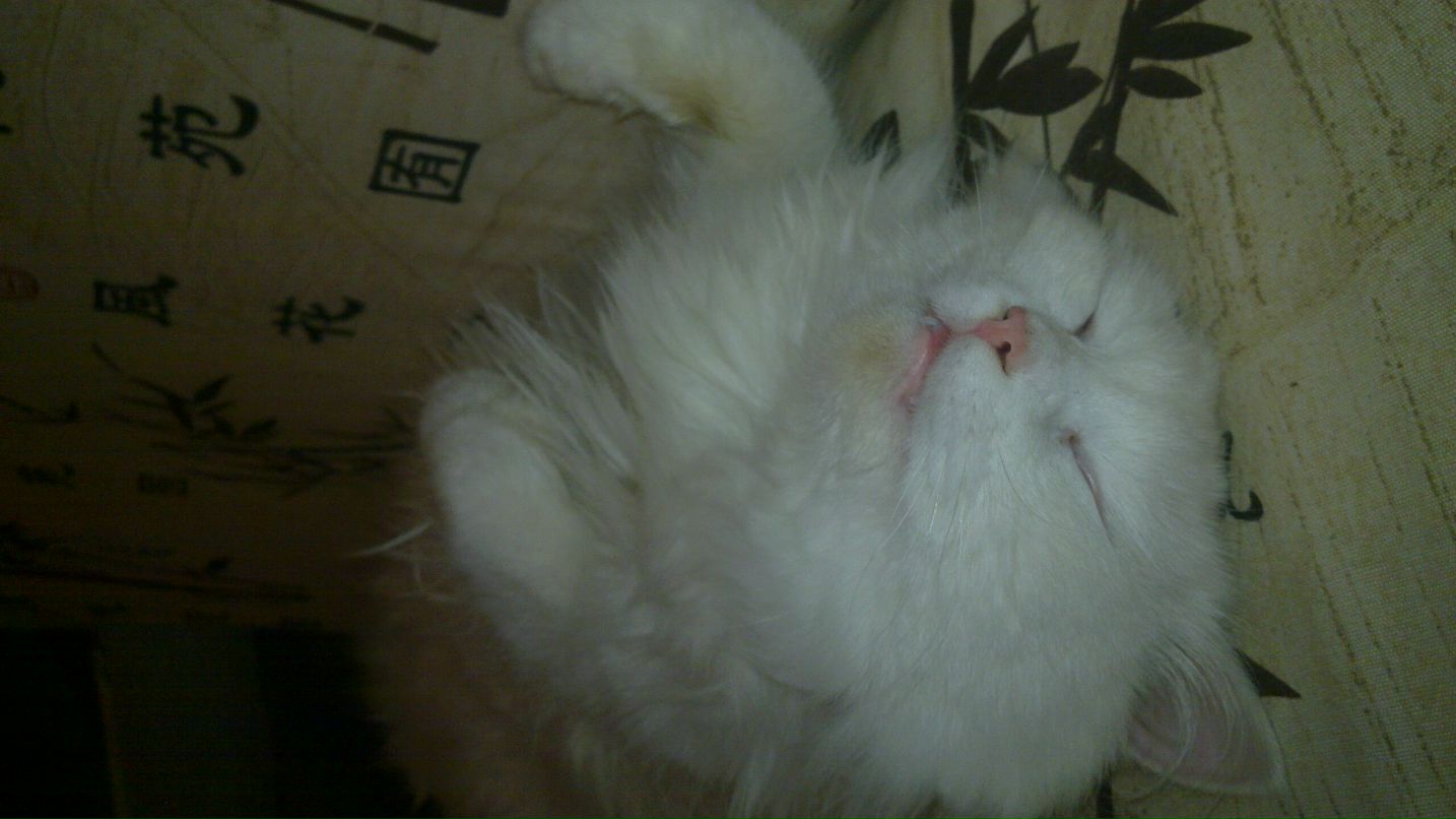 Анатолий Горецкий .::Горец(√ιק):: | Москва