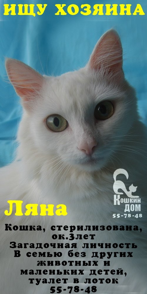 Татьяна Парначева | Сыктывкар